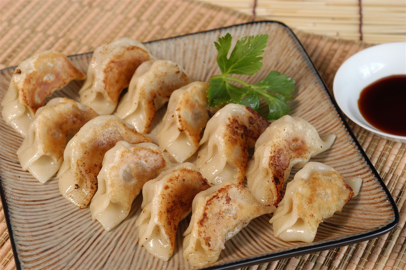 Gyoza, Dumpling Khas Jepang yang Enak Banget