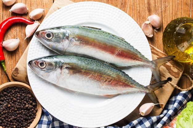 Nutrisi Ikan Kembung. Gak Kalah lho dari Salmon