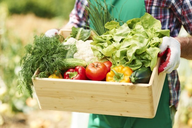 Sayur Hidroponik Lebih Sehat dari Sayur Biasa. Masa Sih?