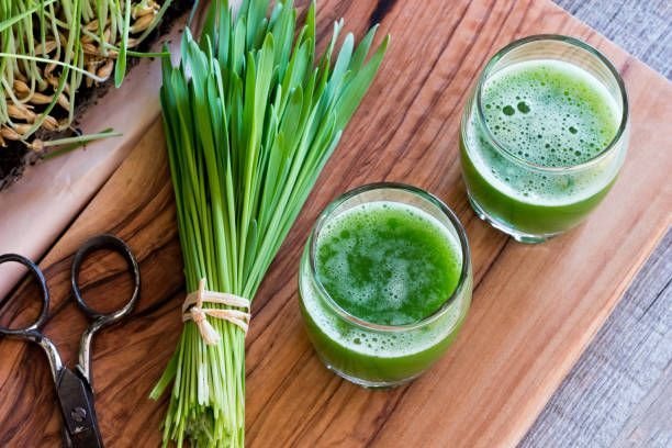 Bisa Dimakan, Apa Sih Wheatgrass Itu?